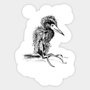 Baby Great Egret Sticker